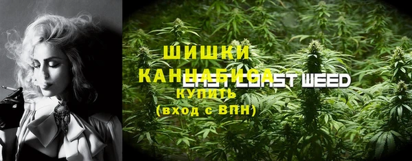 сатива Алзамай