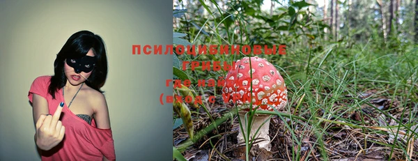 каннабис Алексин