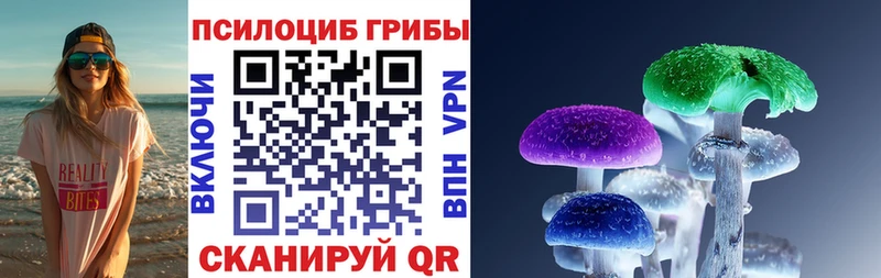 как найти закладки  Вышний Волочёк  Галлюциногенные грибы Psilocybine cubensis 
